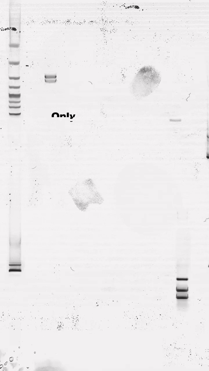 Tags against crime Social Kampagne mit Creative Lead von Wolfgang Bark